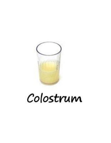 Colostrum de Jument "Excellente Qualité" (200g) Véritable concentré